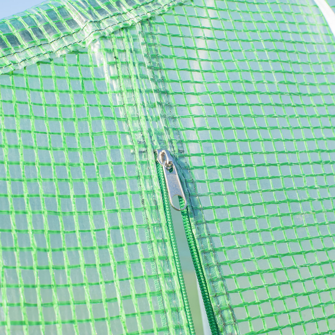 Colquitt 10 Ft W x 20 Ft D Greenhouse