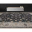 Dharma Oriental Area Rug