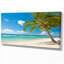 «Landscape Palm Tree over White Sand», reproduction de photo sur toile tendue-906201223