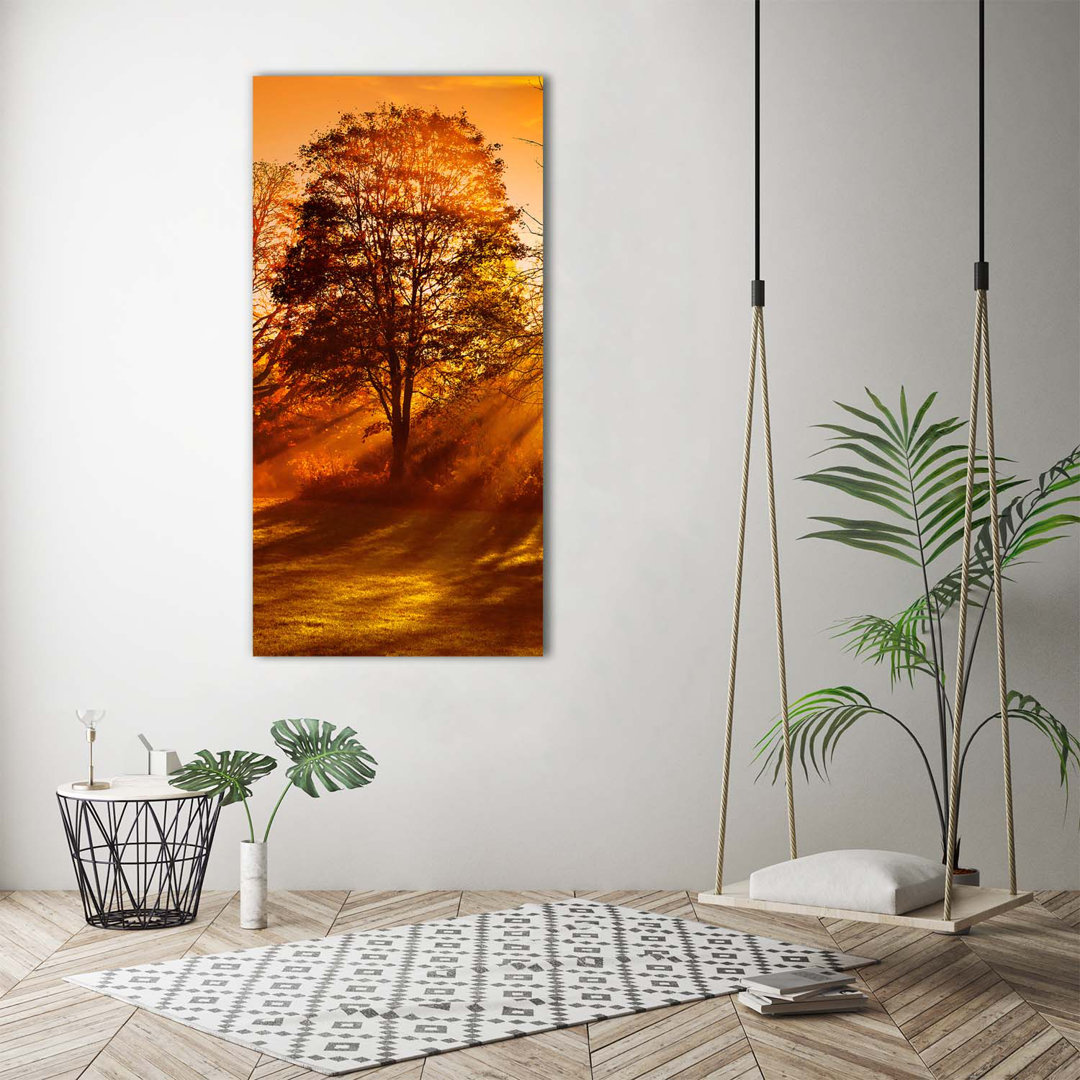 Park In The Fall - Kunstdrucke auf Leinwand