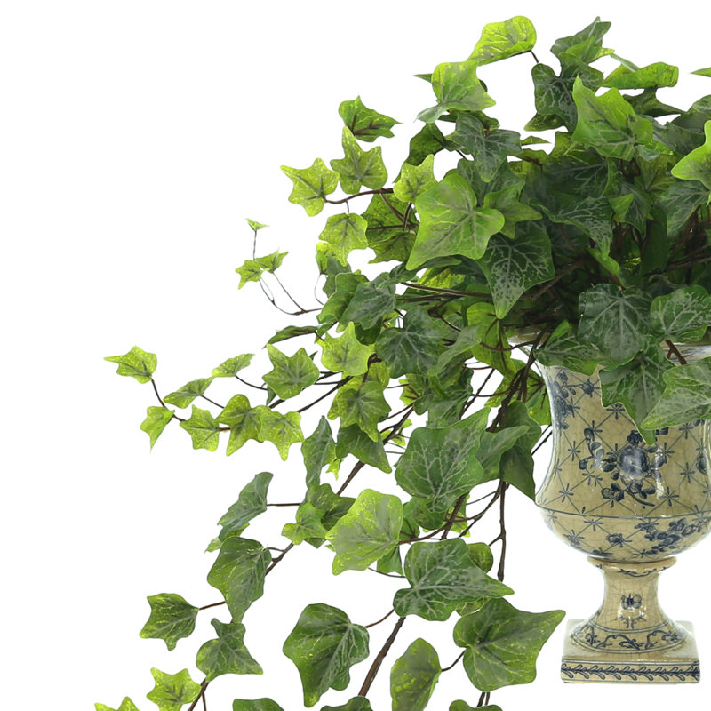 Plante lierre artificielle 10 po Rio