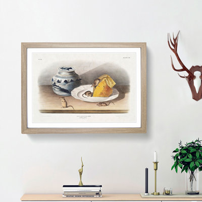 Mice by J.W. Audubon - Framed Print