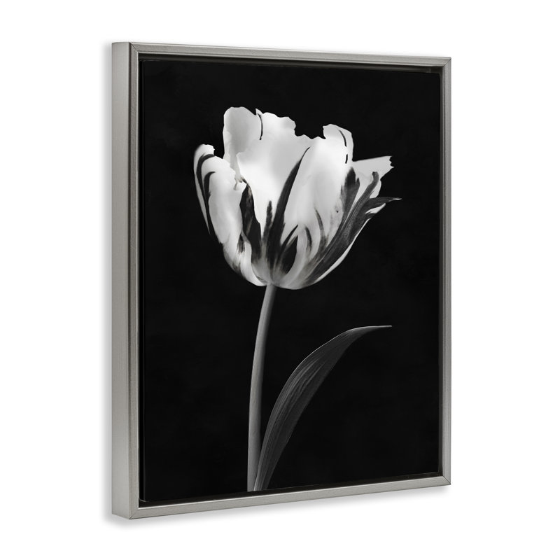 Cadre flottant noir Modern Flower Stark, design par CAD Designs, Cadre flottant gris lustré, H 21 po x l 17 po