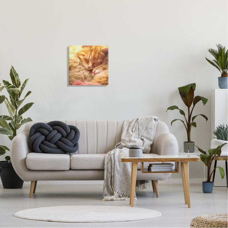 " Sleeping Orange Cats " by Roozbeh, 17" H x 17" W x 1.5" D