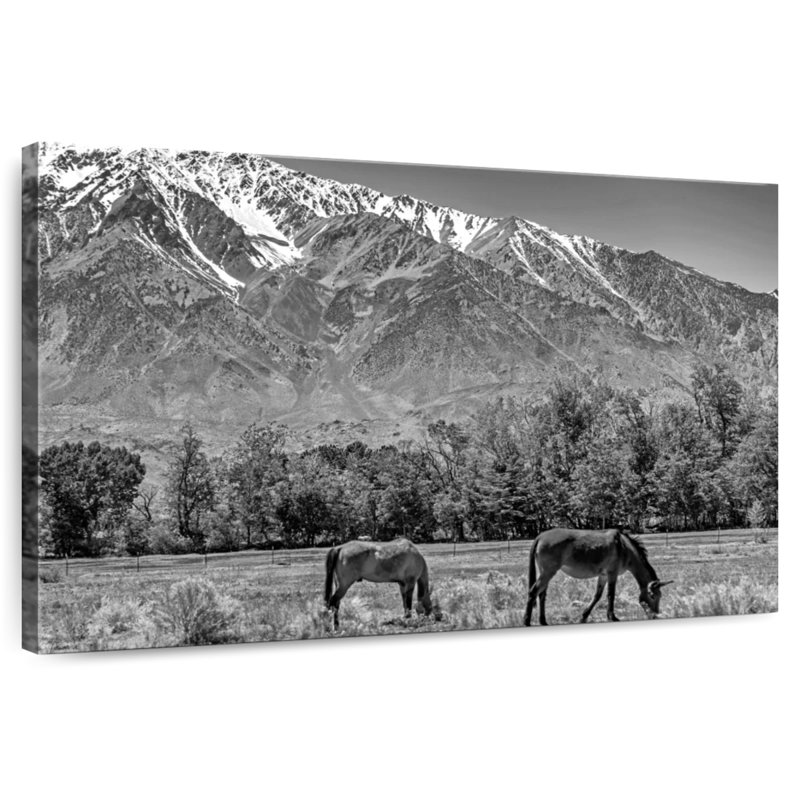 Alvord Monochrome Sierra Nevada, 20" H x 30" W
