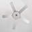 Graniah 25.98'' Ceiling Fan with LED Lights