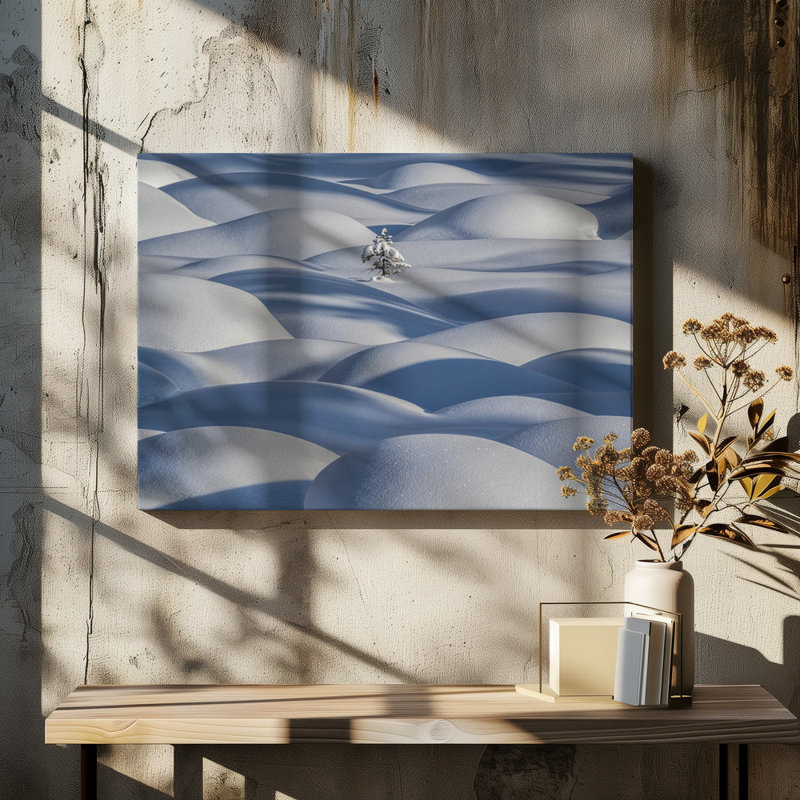 Wrapped Canvas Print, 50.8 cm H x 76.2 cm W