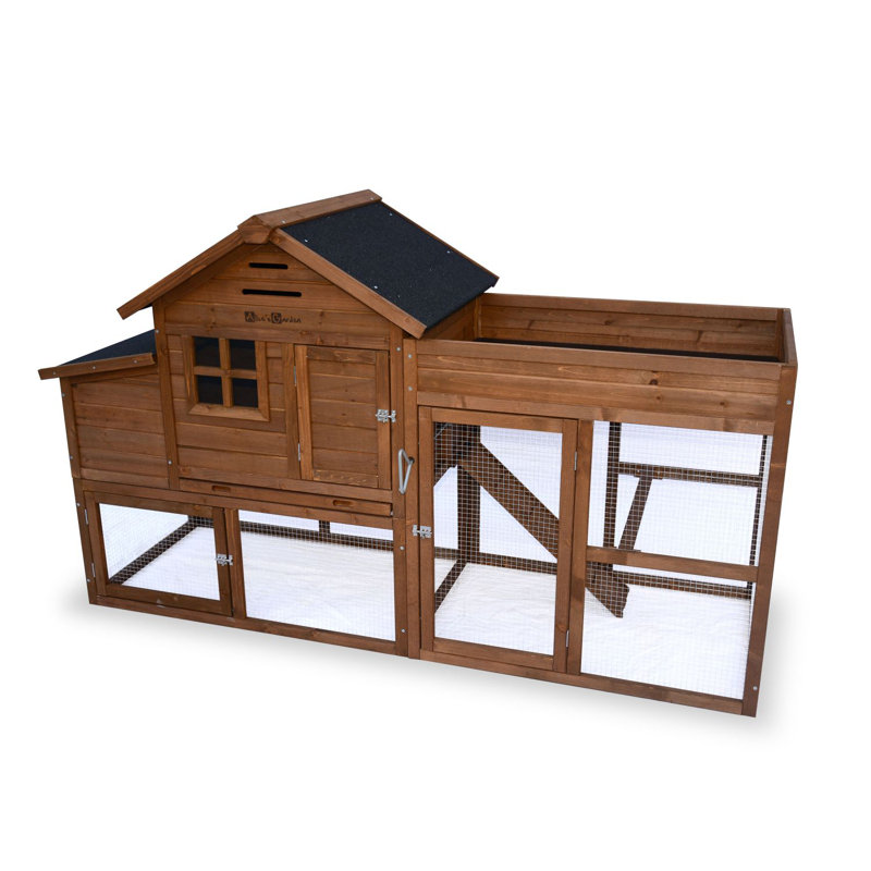 Chicken Coop with Nesting Box