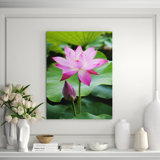 Purple Lotus Flower Bloom Print