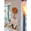 Rheinberg Wood Cuckoo Wall Clock