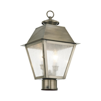 Fraida Lantern Head