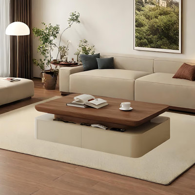 Modern Rectangular Coffee Table with Storage