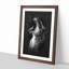 Yawning Lioness - Picture Frame Graphic Art Print-56856782-56856783