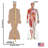 Anatomy 72'' Cardboard Standup