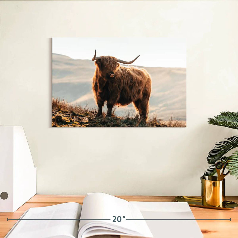 Vache Highland Isle of Skye, 8" H x 12" W