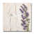 White/Violet