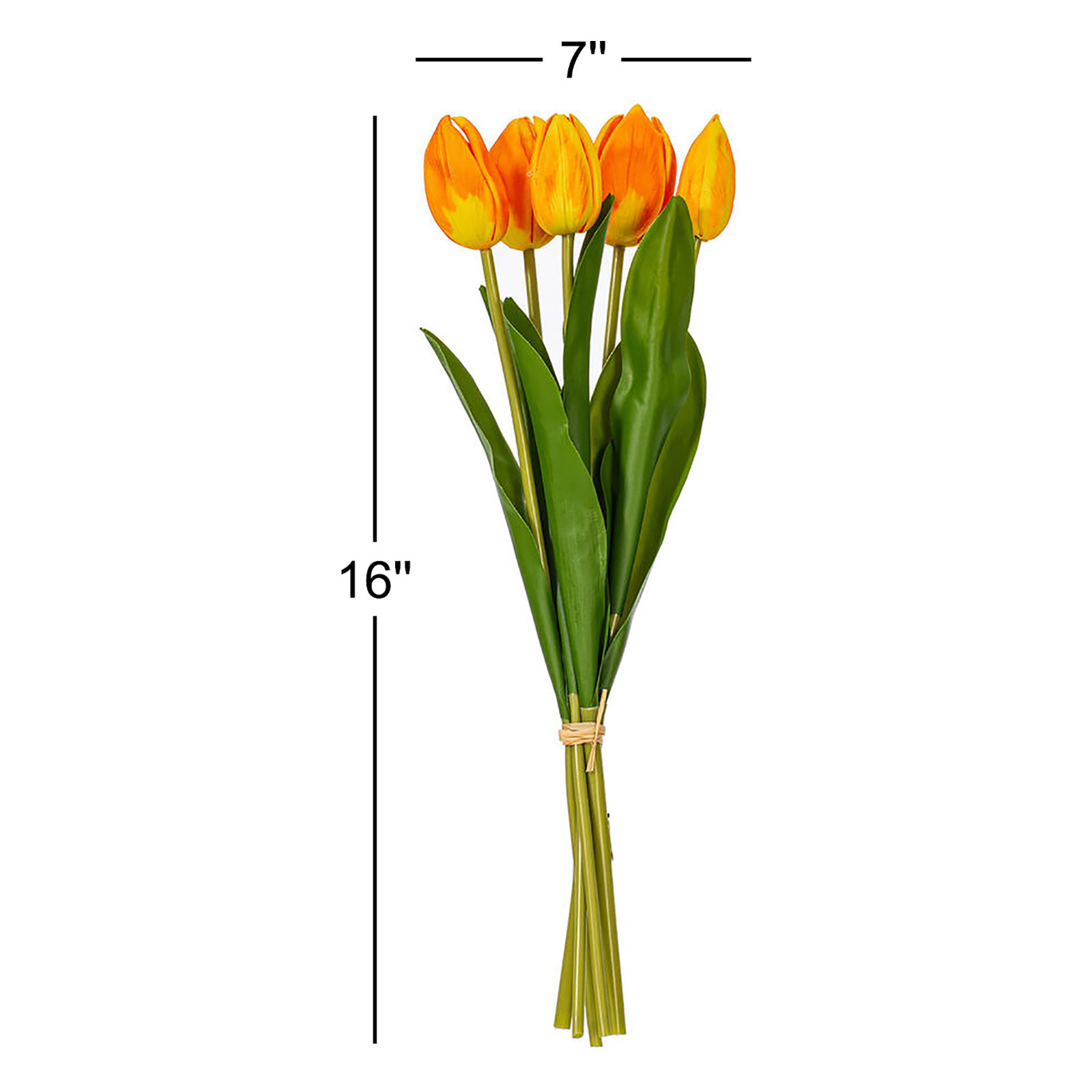 Jasiah Tulip Floral Stems, Orange