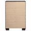 5-Drawer Bedroom Chest (Chest Of Drawers)
