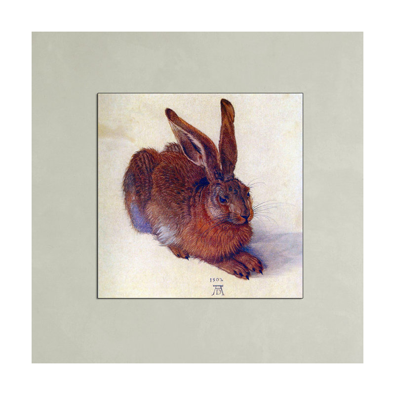 Albrecht Dürer - Wrapped Canvas Print