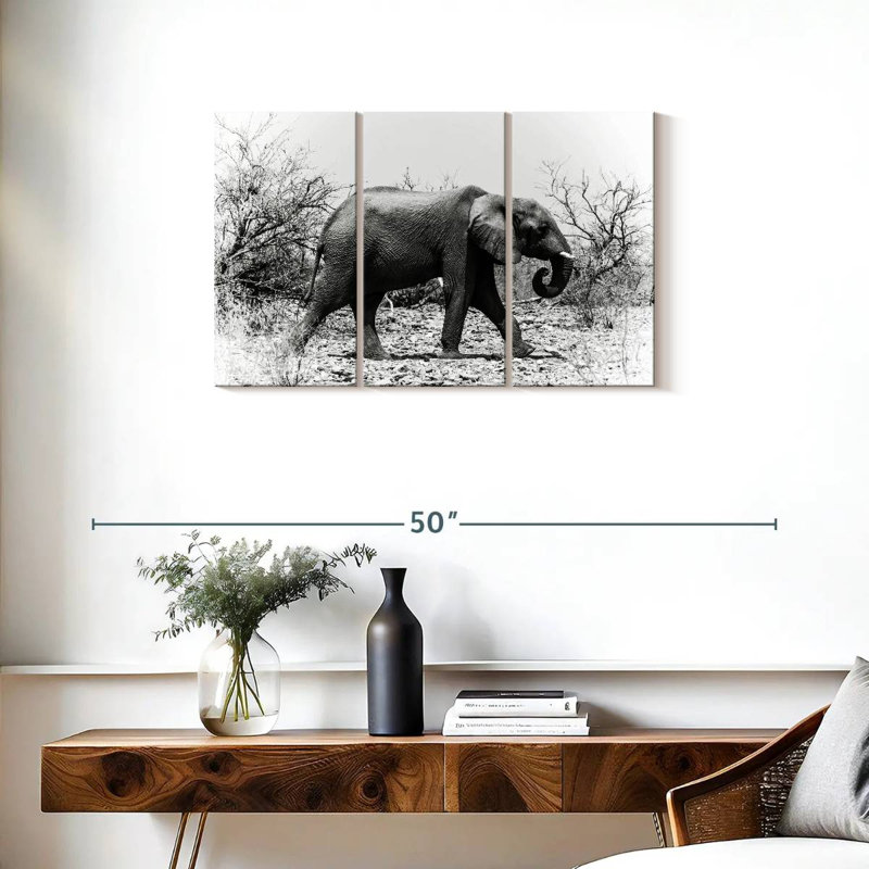 Éléphant d'Afrique au Botswana, H 20 po x l 33 po