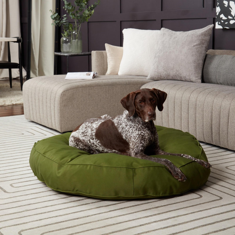 Lit-coussin pour chien Gordie, Vert, Très grand (l 42 po x P 42 po x H 6 po)