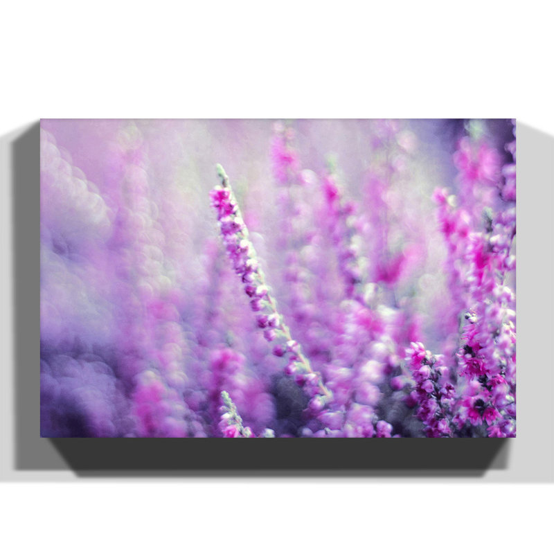 Wrapped Canvas Print, 40cm H x 60cm W