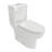 Ceramic One Piece Toilet,Dual Flush with Soft Clsoing Seat