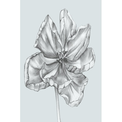 Silvery Blue Tulips IV (U) by Jennifer Goldberger - Wrapped Canvas Print