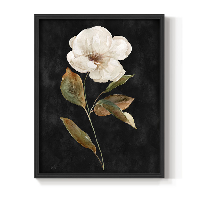 Botanical on Black Wash I Framed Print - Solid Wood, 21" H x 17" W, Black