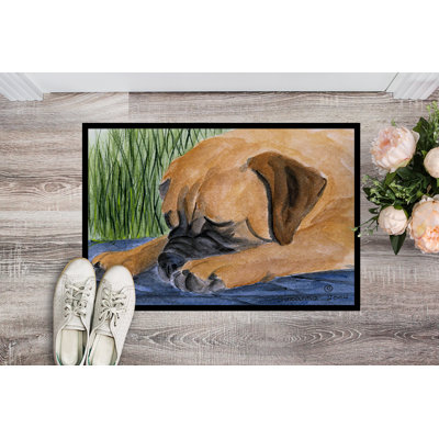 Swannanoa Non-Slip Indoor Doormat