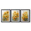 FLORAL Series CDLV - reproduction sur mesure encadrée de qualité supérieure - 3 pièces-406935548-406935550