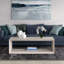 Wander Solid Coffee Table with Storage-1289502531-1295922824