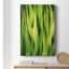 «Blades of Grass I», reproduction sur toile tendue-1641811411