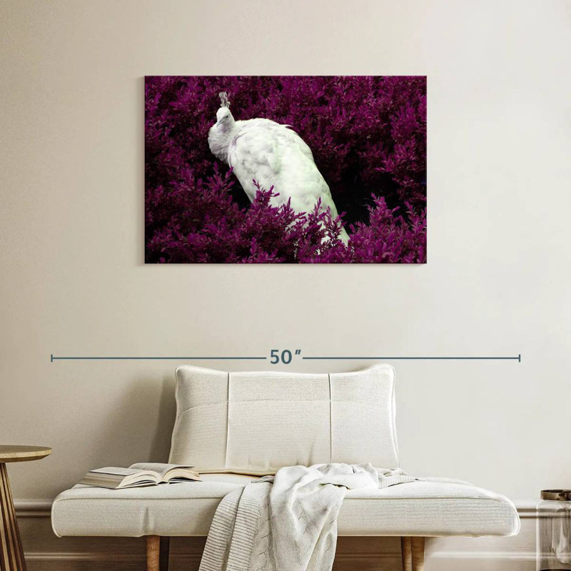 Brampt White Peacock In Purple Field, 24" H x 36" W