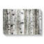 Silver Birch Tree Forest - Wrapped Canvas Painting-55318752