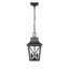 Luminaire suspendu d'extérieur 2 lumières