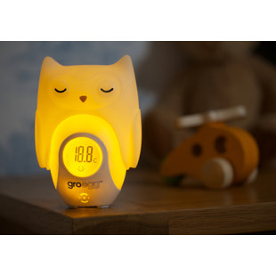 Egg Orla the Owl Shell Night Light