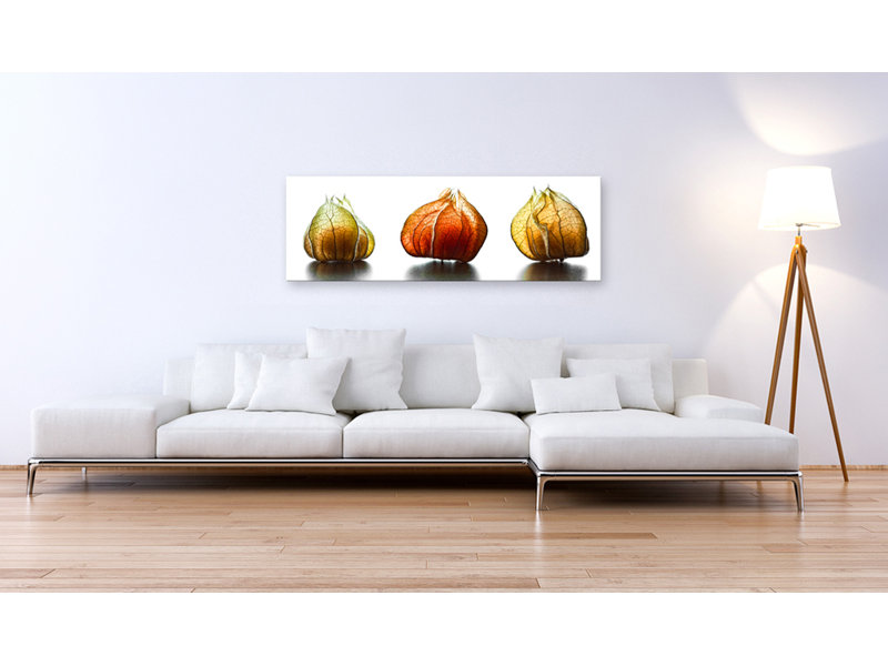 No Frame Print on Canvas, 120cm H x 40cm W