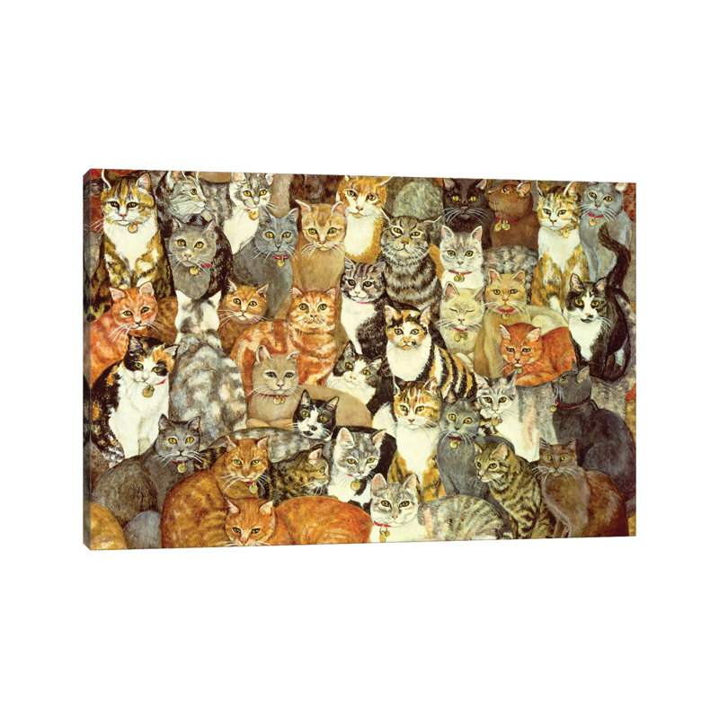 Chat étalé, reproduction d'art sur toile tendue, H 26 po x l 40 po