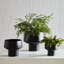 Acquah Metal Cachepot - Set of 3