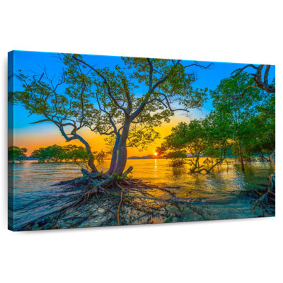 Harnek Mangrove Sunshine
