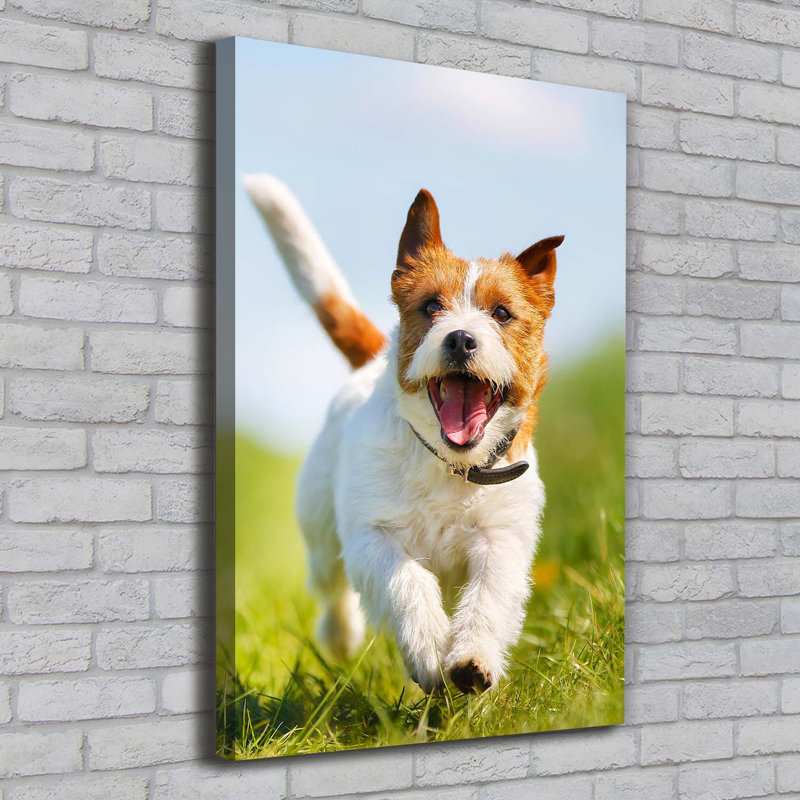 Dog Jack Russell - Wrapped Canvas Print
