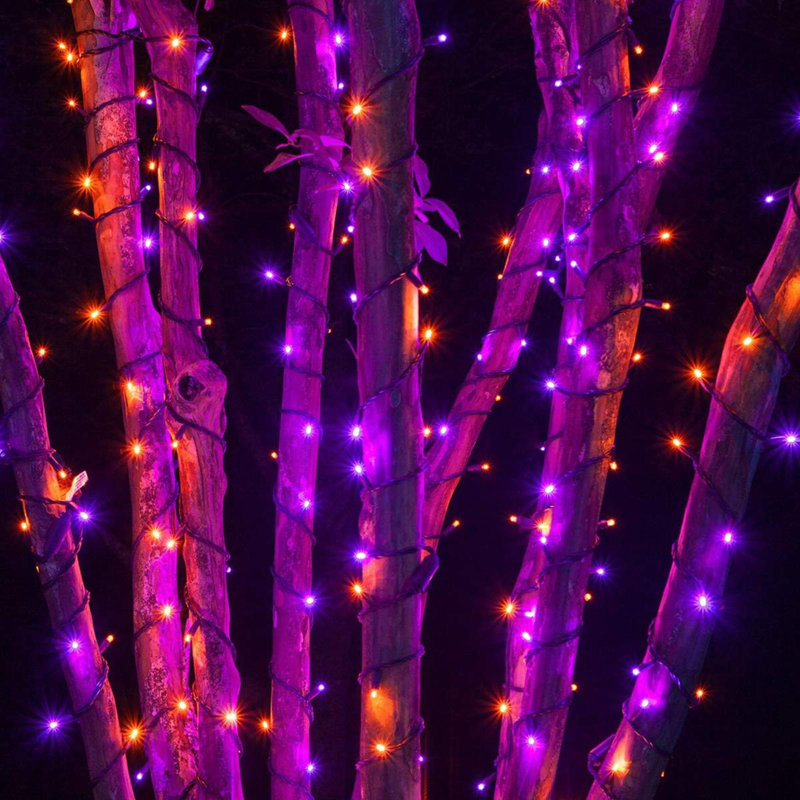 Guirlande de 2 po, Mauve et orange