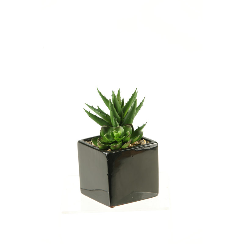 Faux Succulent in Ceramic Planter
