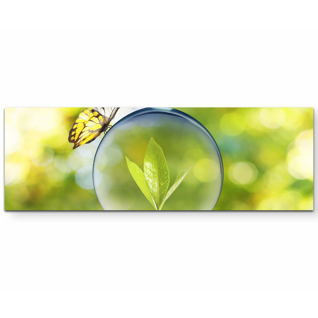 Leinwandbild Plant Sprout in Glühlampen mit Schmetterling