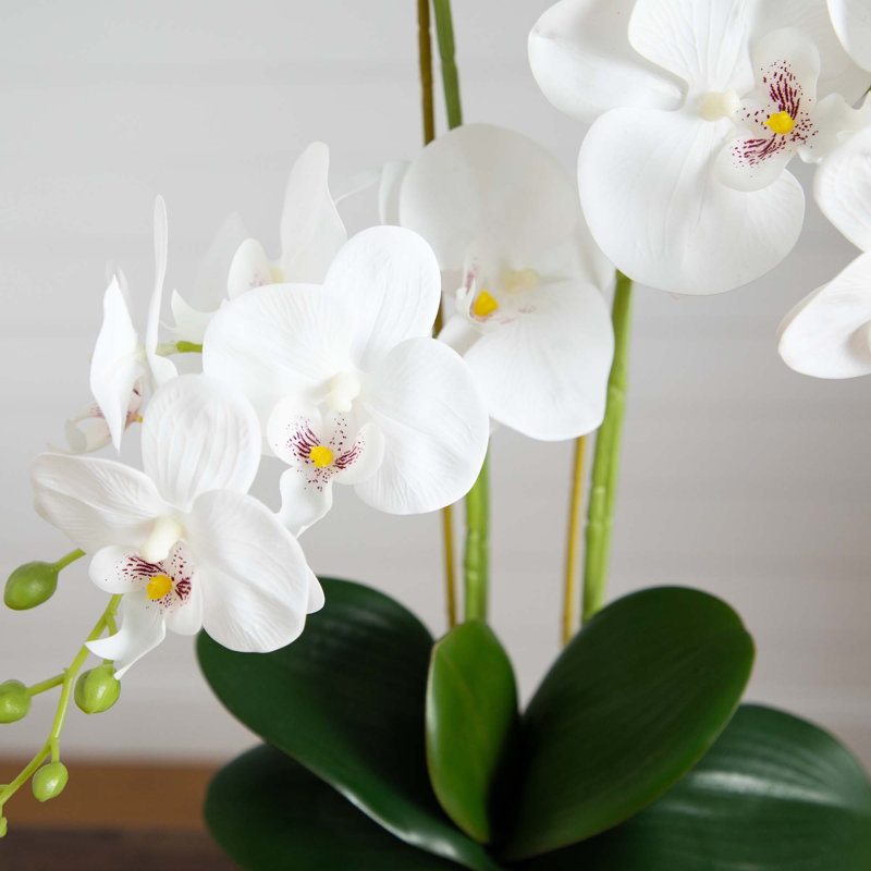 26in. Artificial Phalaenopsis Orchid Arrangement in Decorative Ceramic Vase (Real Touch)