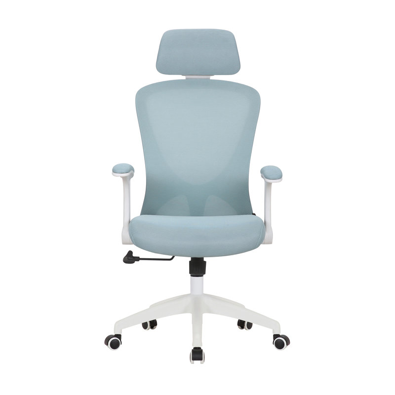 Kjeld Mesh Office Chair with Headrest, Blue