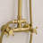 Adjustable 2-Function Shower System with Handles-126375059