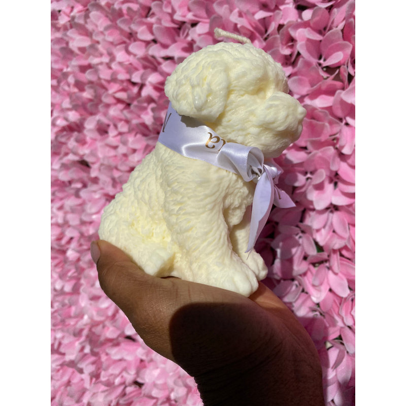 Lemongrass & Eucalyptus Scented Novelty Candle