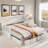 Elegant Extendable Daybed With Two Storage Drawers And Twin Size Trundle-1872653735